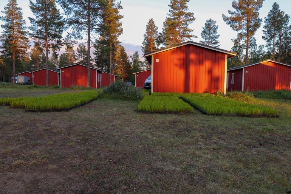 Pajala Cottages Route 99 외부 사진
